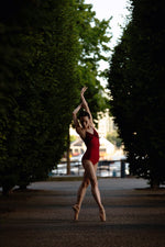 Load image into Gallery viewer, Custom Isabelle Trim Duo Elastic-Pinch Ballet Leotard
