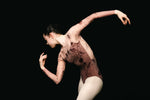 Load image into Gallery viewer, Eve Firebird Print Mesh Sleeve Clasp Ballet Leotard - Clay Red
