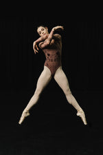 Load image into Gallery viewer, Eve Firebird Print Mesh Sleeve Clasp Ballet Leotard - Clay Red
