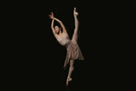 Load image into Gallery viewer, Angelic Ombre Print Carisse Leotard
