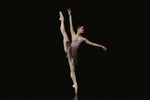 Load image into Gallery viewer, Falling Flowers Print Isabelle Trim Ballet Leotard - Mauve Rose
