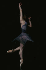 Load image into Gallery viewer, Falling Flowers Print Isabelle Trim Ballet Leotard - Blue
