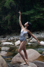 Load image into Gallery viewer, Porcelain Floral Ombre Print Nina Leotard
