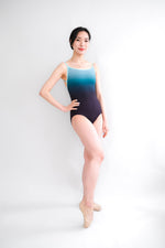 Load image into Gallery viewer, Aurora Ombre Print Carisse Leotard
